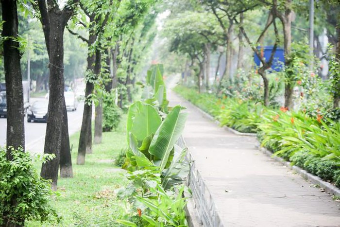 Những con đường mới giải nhiệt của Thủ đô - Hình 11