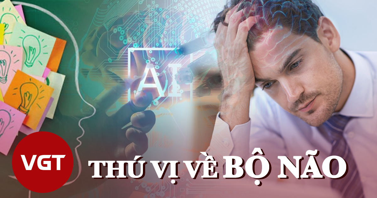 Những điều thú vị về bộ não mà bạn chưa biết - Hình 1