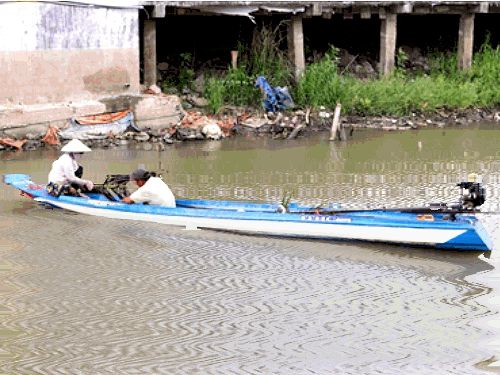 An Giang: Tuyệt chiêu cực dễ để bắt đặc sản ốc đắng kiếm nửa triệu/ngày - Hình 1