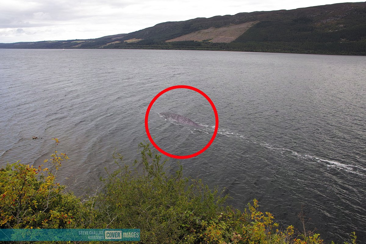 Bức ảnh mới, rõ ràng nhất từ trước đến nay chụp quái vật hồ Loch ...