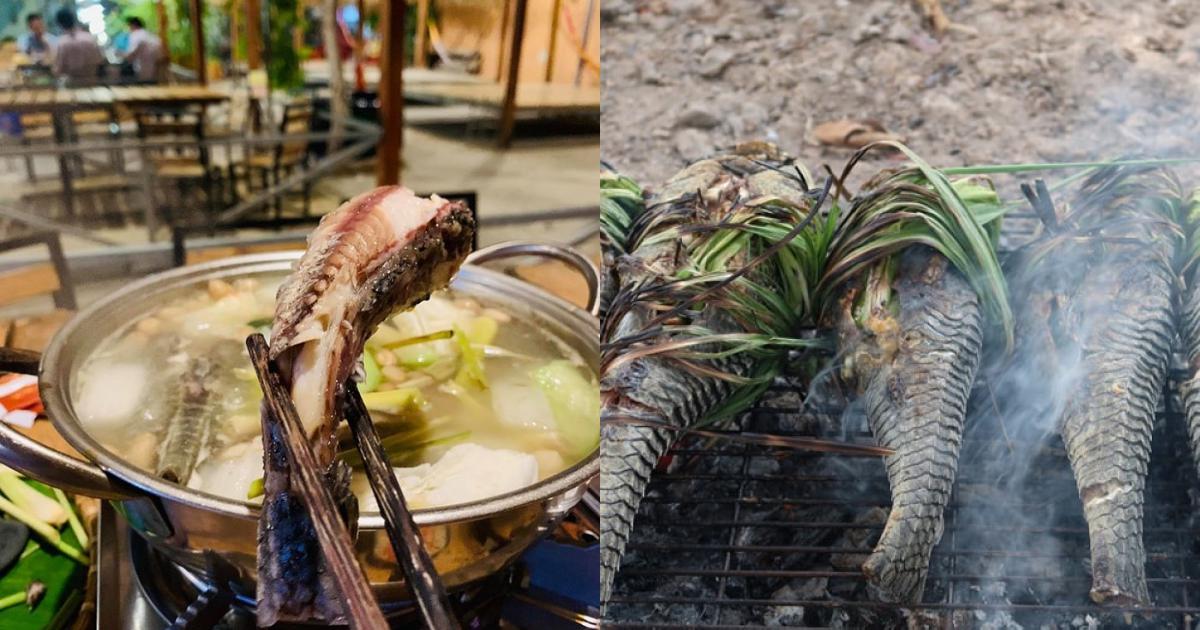 Món cá lau kiếng lạ miệng ở miền Tây - Ẩm thực - Việt Giải Trí