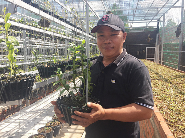 Bất ngờ: Trai đẹp chơi lan rừng, có lan Giả hạc Châu Như mà ra...tiền tỷ ở Đồng Nai - Hình 1