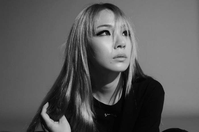 CL chia sẻ: Một trong số những nguồn cảm hứng lớn nhất của 2NE1 là Destiny's Child và ban nhạc TLC - Hình 1