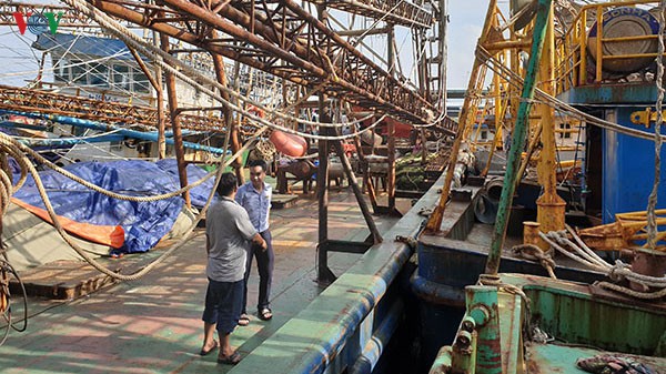 Tàu vỏ thép đóng mới theo Nghị định 67: Ngân hàng khởi kiện chủ tàu - Hình 1
