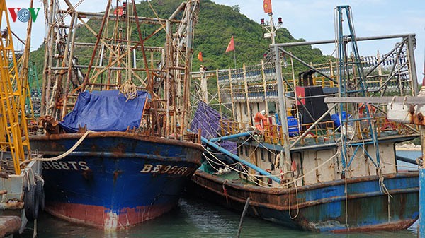 Tàu vỏ thép đóng mới theo Nghị định 67: Ngân hàng khởi kiện chủ tàu - Hình 2