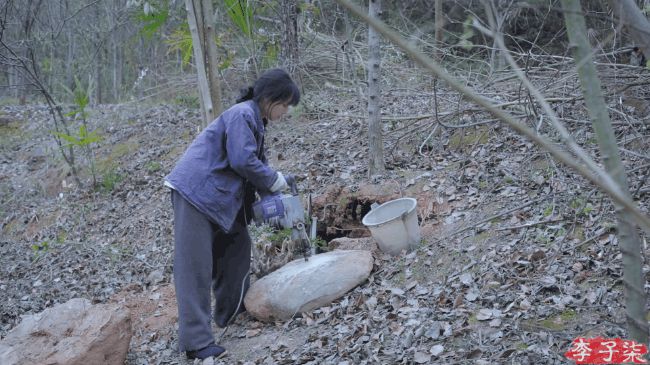 10 ngày sau lùm xùm b.ị t.ố đạo nhái, Bếp trên đỉnh đồi vẫn im ắng nhưng chị Bảy Lý Tử Thất thì đã tung vlog tự tay làm khu vườn đẹp như tiên cảnh - Hình 6