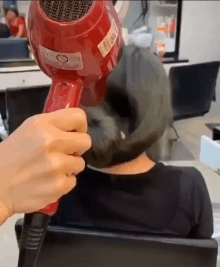 Tuyệt chiêu mà thợ sấy tóc không bao giờ nói với bạn: Cực đơn giản mà giúp tóc bồng bềnh gấp đôi - Hình 1