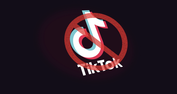 Nhật Bản có thể là quốc gia tiếp theo cấm cửa TikTok - Hình 1