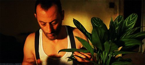 Léon The Professional - Thứ tình cảm dị thường của ông chú sát thủ và cô bé 12 tuổi - Hình 3