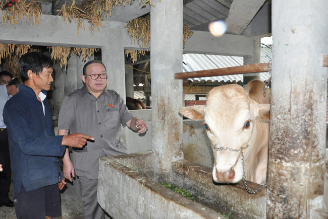 Chủ tịch Hội NDVN Thào Xuân Sùng: Hà Giang phát triển kinh tế gắn với bảo tồn, phát huy bản sắc dân tộc - Hình 1