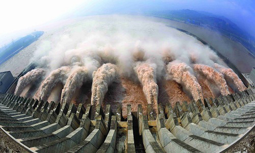 Đập Tam Hiệp đẩy loài cá khổng lồ này của Trung Quốc vào cảnh tuyệt chủng hoàn toàn - Hình 1