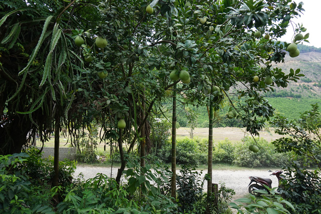 Tà Lang, Giàn Bí làm homestay gắn xây dựng nông thôn mới, được du khách săn đón - Hình 8