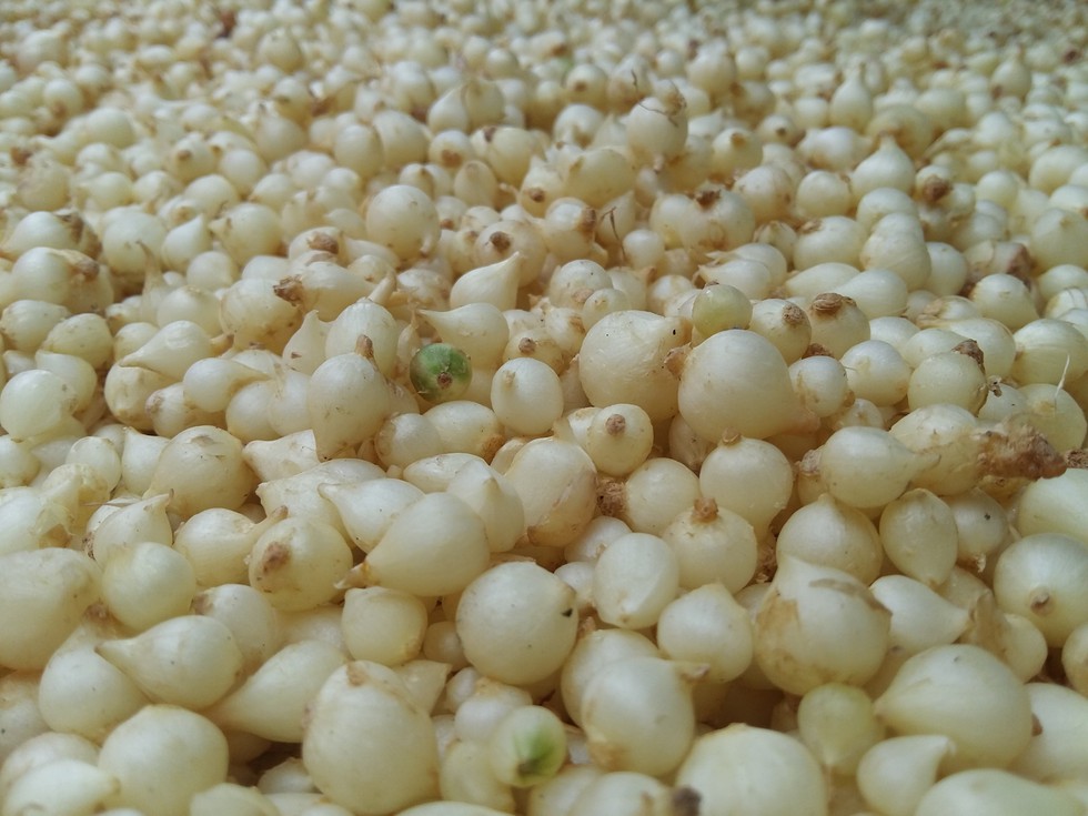 Tìm chút hương vị mì quảng Hội An giữa Sài Gòn - Hình 3