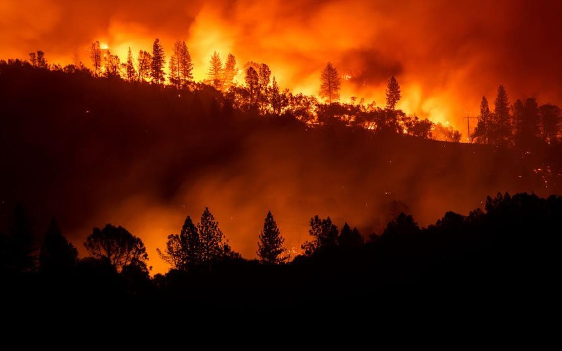 Cháy rừng tại California: Nhiều nhà cửa và xe cộ bị thiêu rụi thành tro - Hình 1
