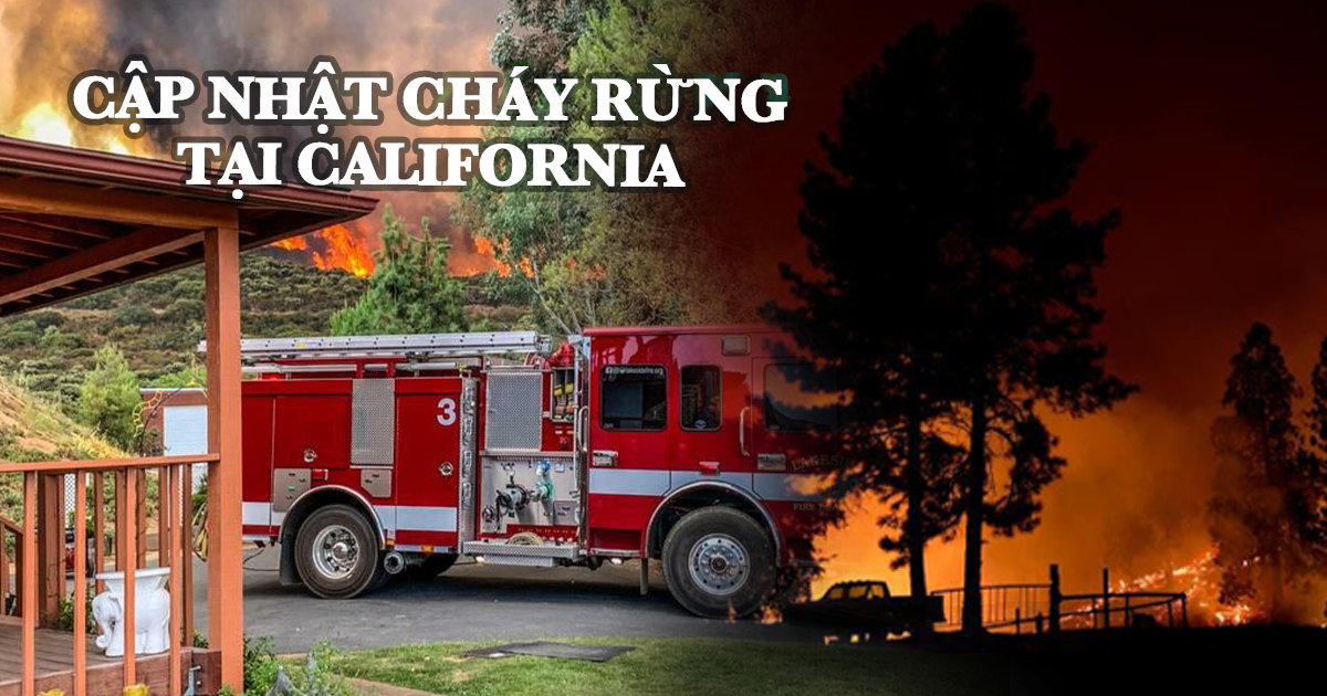 Cháy rừng tại California: Nhiều nhà cửa và xe cộ bị thiêu rụi thành tro - Hình 2