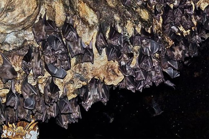 10 đền, chùa kỳ lạ và đáng sợ nhất châu Á - Hình 2