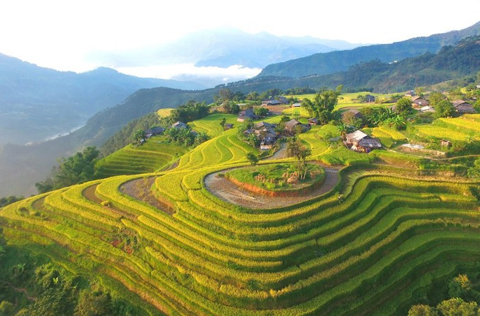 Hoàng Su Phì mùa lúa chín - Hình 1