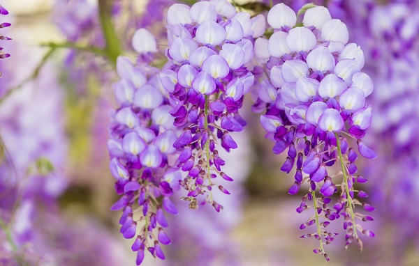 Thứ Tư của bạn (09/09): Bọ Cạp có phong thái tự tin, Thiên Bình không nên tham gia cạnh tranh áp lực - Hình 2