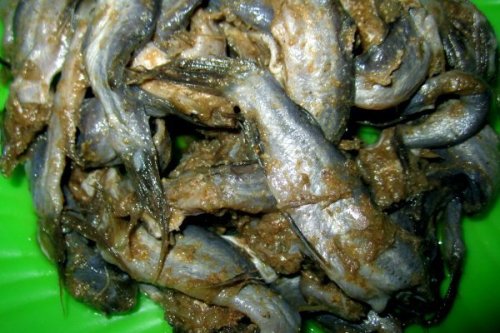 Lẩu mắm Bạc Liêu, đậm đà hương vị miền tây - Hình 1