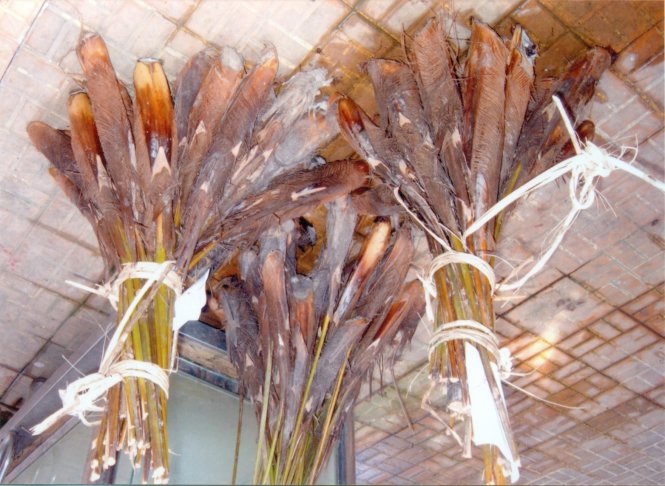 Món đuông sành điệu miền Tây - Hình 2
