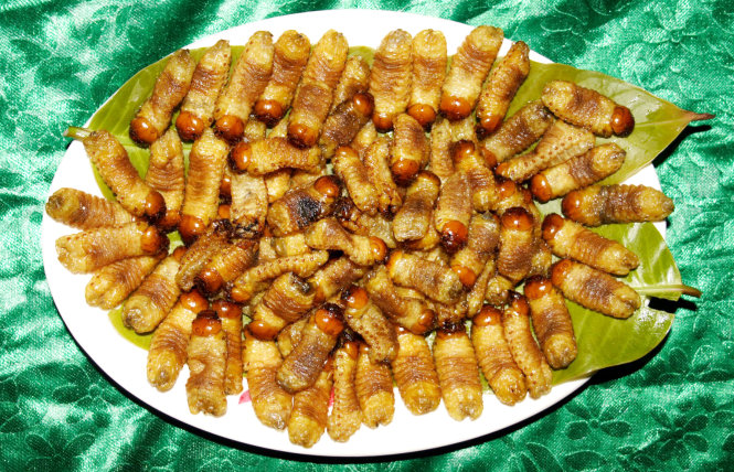 Món đuông sành điệu miền Tây - Hình 1