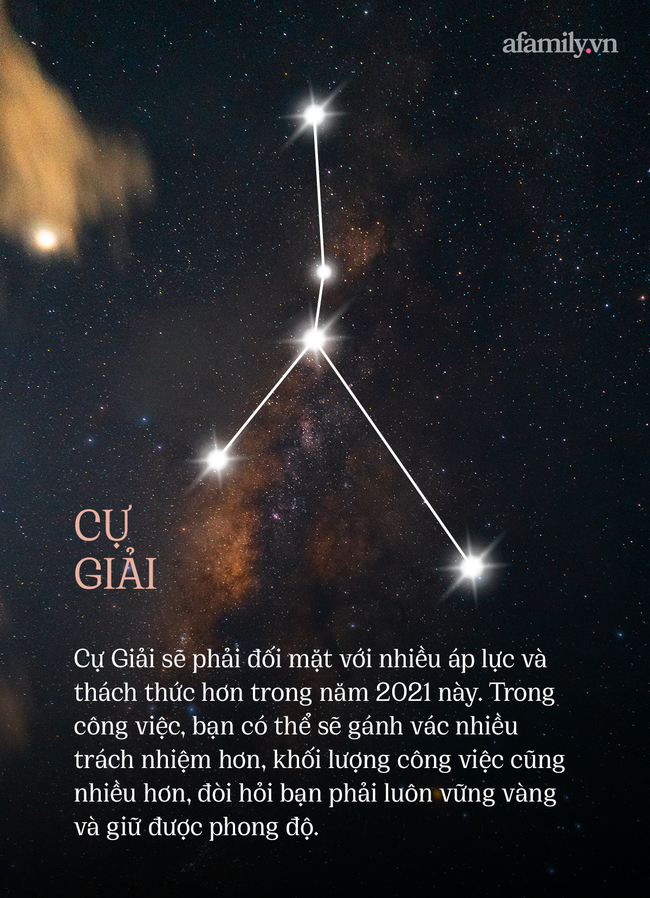 Năm 2021 đã bắt đầu, điều gì đang chờ đợi 12 cung Hoàng đạo ở phía trước? - Hình 4