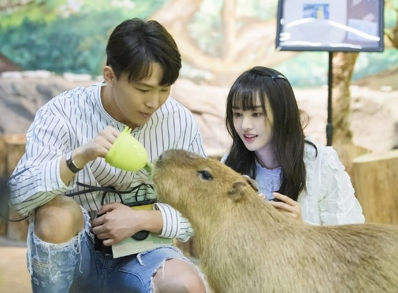 Trương Hằng | Thân thế cực khét ít ai biết | Người khiến Trịnh Sảng một thời mê đắm - Hình 4