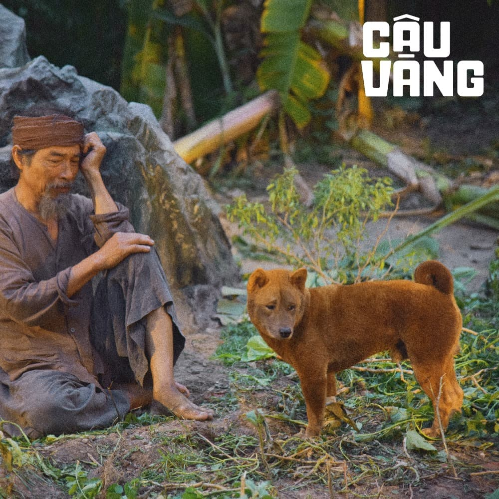 Cậu Vàng rút khỏi rạp chiếu vì thua lỗ hơn 30 tỷ | Đạo diễn Trần Vũ Thủy đã mắc sai lầm từ đâu? - Hình 2