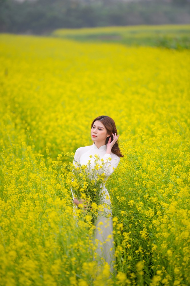 Nữ sinh Kinh Công đẹp dịu dàng giữa cánh đồng hoa cải vàng rực rỡ - Hình 1