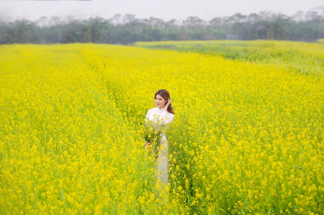 Nữ sinh Kinh Công đẹp dịu dàng giữa cánh đồng hoa cải vàng rực rỡ - Hình 4