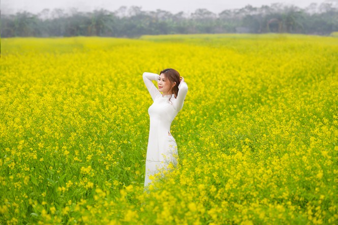 Nữ sinh Kinh Công đẹp dịu dàng giữa cánh đồng hoa cải vàng rực rỡ - Hình 9