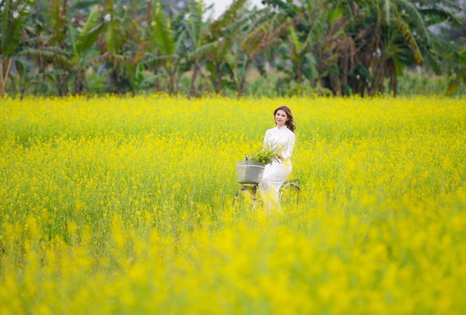 Nữ sinh Kinh Công đẹp dịu dàng giữa cánh đồng hoa cải vàng rực rỡ - Hình 8