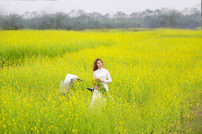 Nữ sinh Kinh Công đẹp dịu dàng giữa cánh đồng hoa cải vàng rực rỡ - Hình 7