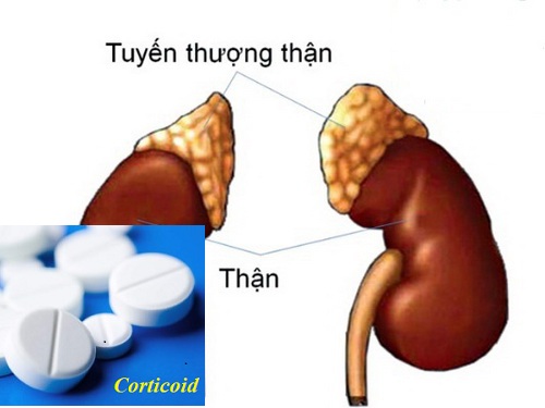 suy tuyen thuong than teo da do lam dung corticoid 53b 5503321