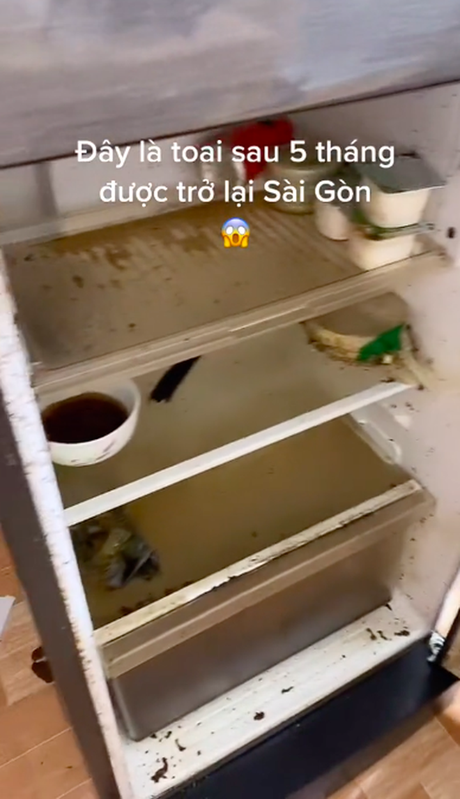 Người dân Sài Gòn bắn pháo hoa mừng ngày nới lỏng giãn cách như đón Tết - Hình 2