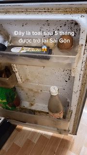 Sau 5 tháng trở lại Sài Gòn cô gái tá hỏa khi mở tủ lạnh ra, dân mạng đồng loạt khuyên cần làm một biện pháp - Hình 2