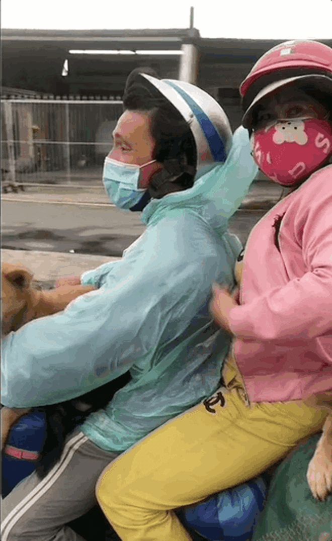 15 con chó như những thành viên gia đình, người chủ sẽ ám ảnh cả cuộc đời còn lại - Hình 5