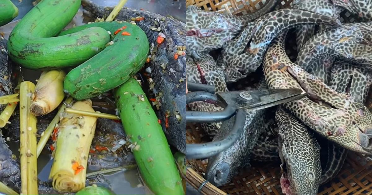 2 cách làm cá lau kiếng hấp sả và hấp mướp non ngon ngọt dân dã miền Tây - Ẩm thực - Việt Giải Trí