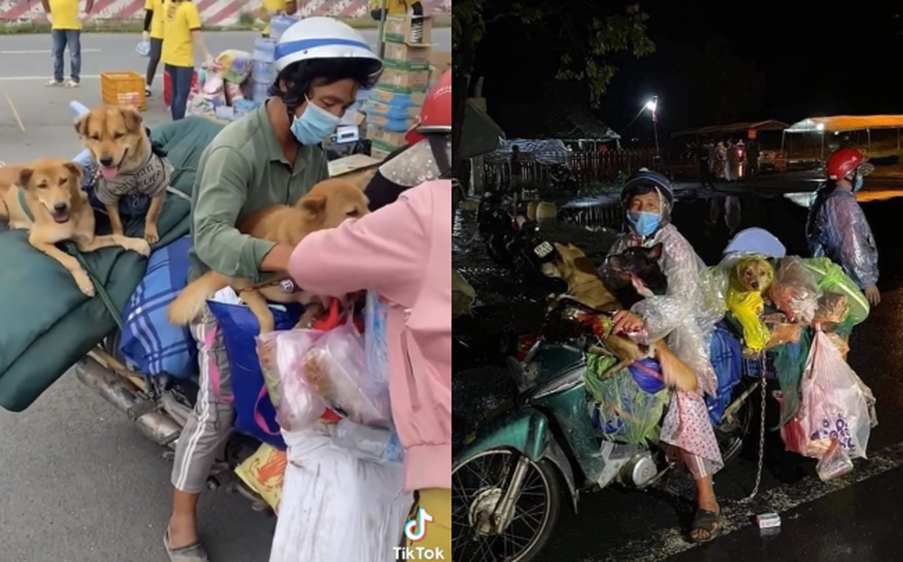 Chính quyền xã lên tiếng về vụ 15 con chó bị tiêu hủy: Người dân đã đồng ý, dựa trên tinh thần tự nguyện - Hình 1