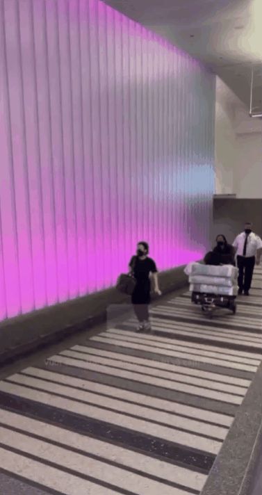 Clip: NS Việt Hương ôm tro cốt Phi Nhung vừa đi vừa khóc lúc đáp tới sân bay Mỹ, ai xem cũng rưng rưng nước mắt - Hình 1