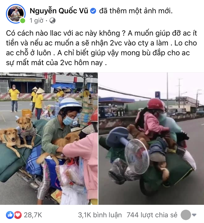 Đại gia Quận 7 chuyển nóng 50 triệu cho chủ 15 chú chó bị tiêu huỷ, hứa luôn một việc không phải ai cũng dám làm vào lúc này - Hình 2