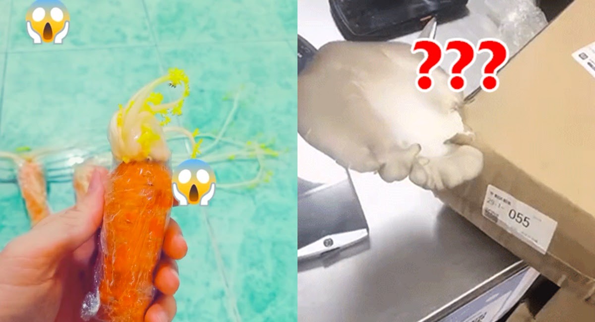 Đặt hàng qua mạng gặp giãn cách và cái kết khô lời sau 2 tháng - Hình 4