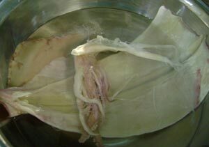 Mực xào rối - Hình 3