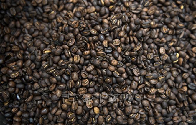 Thị trường nông sản thế giới: Giá gạo xuất khẩu của Ấn Độ tăng nhẹ - Hình 2