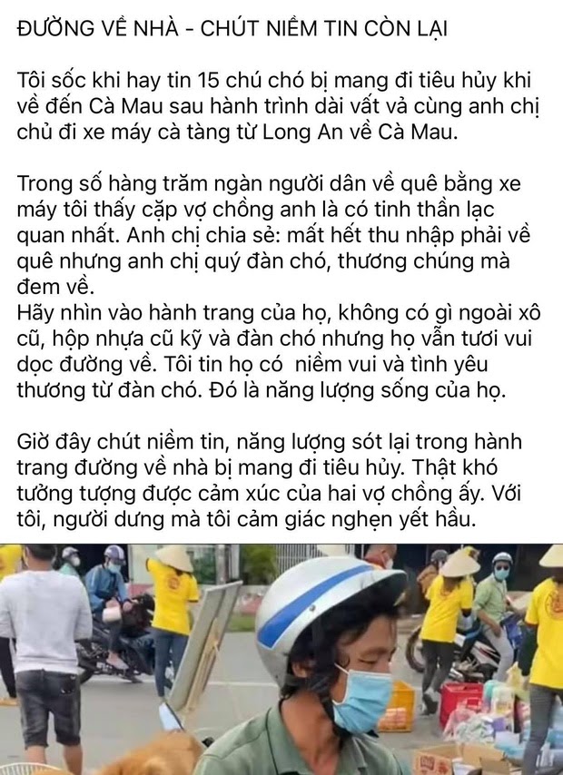 Vụ 15 con chó bị tiêu hủy ở Cà Mau: Chính quyền xã lên tiếng - Hình 2