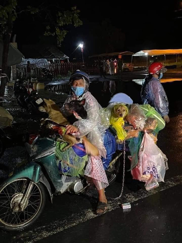 Xúc động hình ảnh thú cưng trên mọi nẻo đường hồi hương: Dù hành trình gian nan nhưng tất cả đều cùng nhau vượt qua - Hình 1