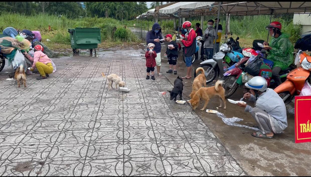 Xúc động hình ảnh thú cưng trên mọi nẻo đường hồi hương: Dù hành trình gian nan nhưng tất cả đều cùng nhau vượt qua - Hình 3