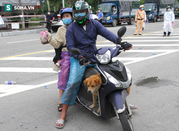 Xúc động hình ảnh thú cưng trên mọi nẻo đường hồi hương: Dù hành trình gian nan nhưng tất cả đều cùng nhau vượt qua - Hình 10