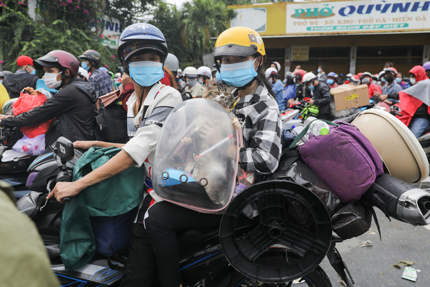 Xúc động hình ảnh thú cưng trên mọi nẻo đường hồi hương: Dù hành trình gian nan nhưng tất cả đều cùng nhau vượt qua - Hình 9