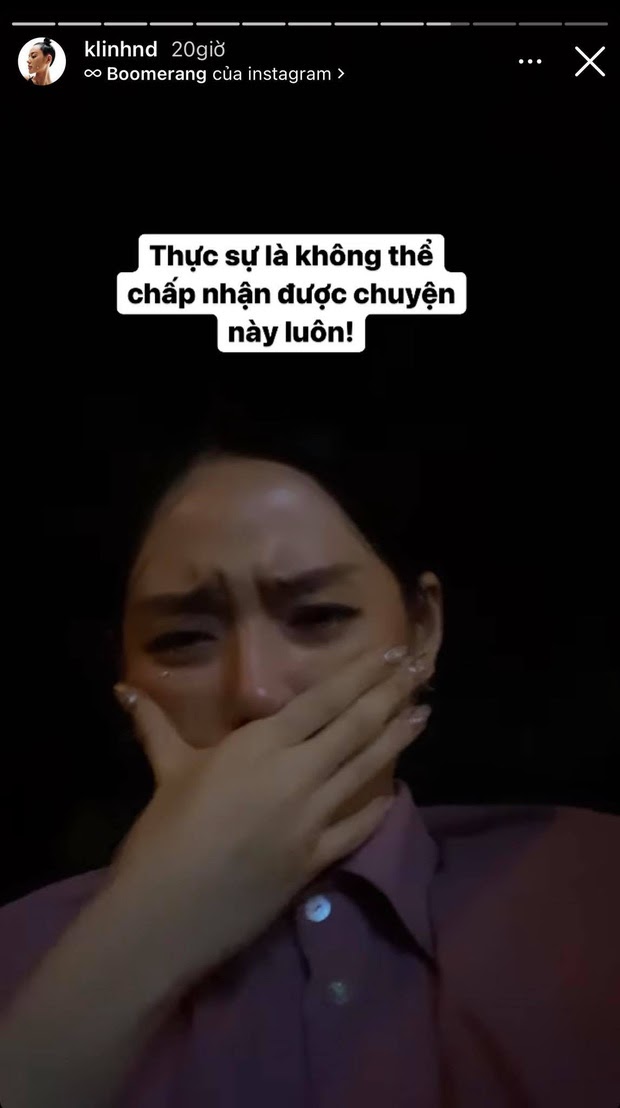 Khánh Linh Cô em trendy khóc thương 15 chú chó bị tiêu huỷ, bị chỉ trích giả tạo đến nổi da gà - Hình 2